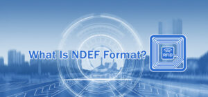 what is ndef format