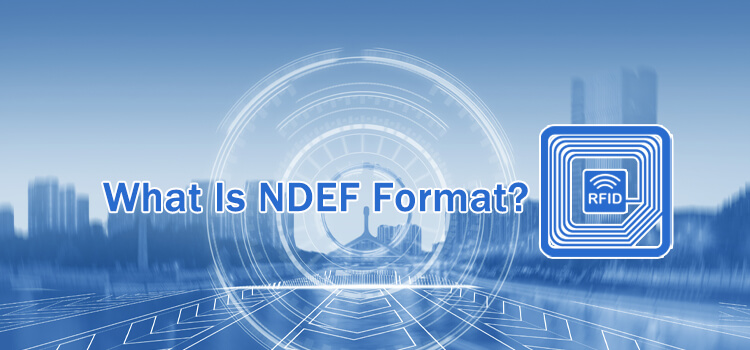 what is ndef format